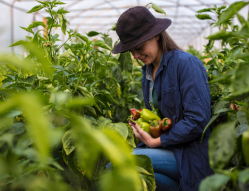 Sustentabilidade Industrial na Agropecuaria: Análise de Caso.