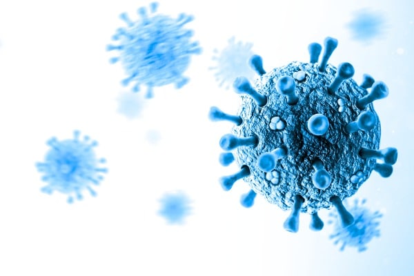 Hantavirus