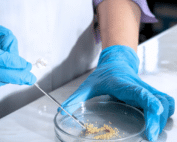 Resistência microbiana