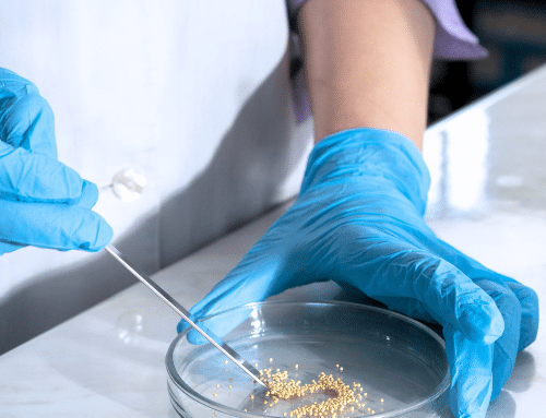 Resistência microbiana: causas, riscos e formas de prevenção