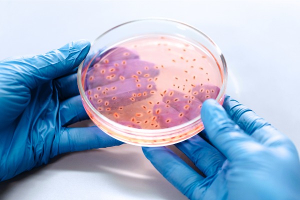Resistencia microbiana